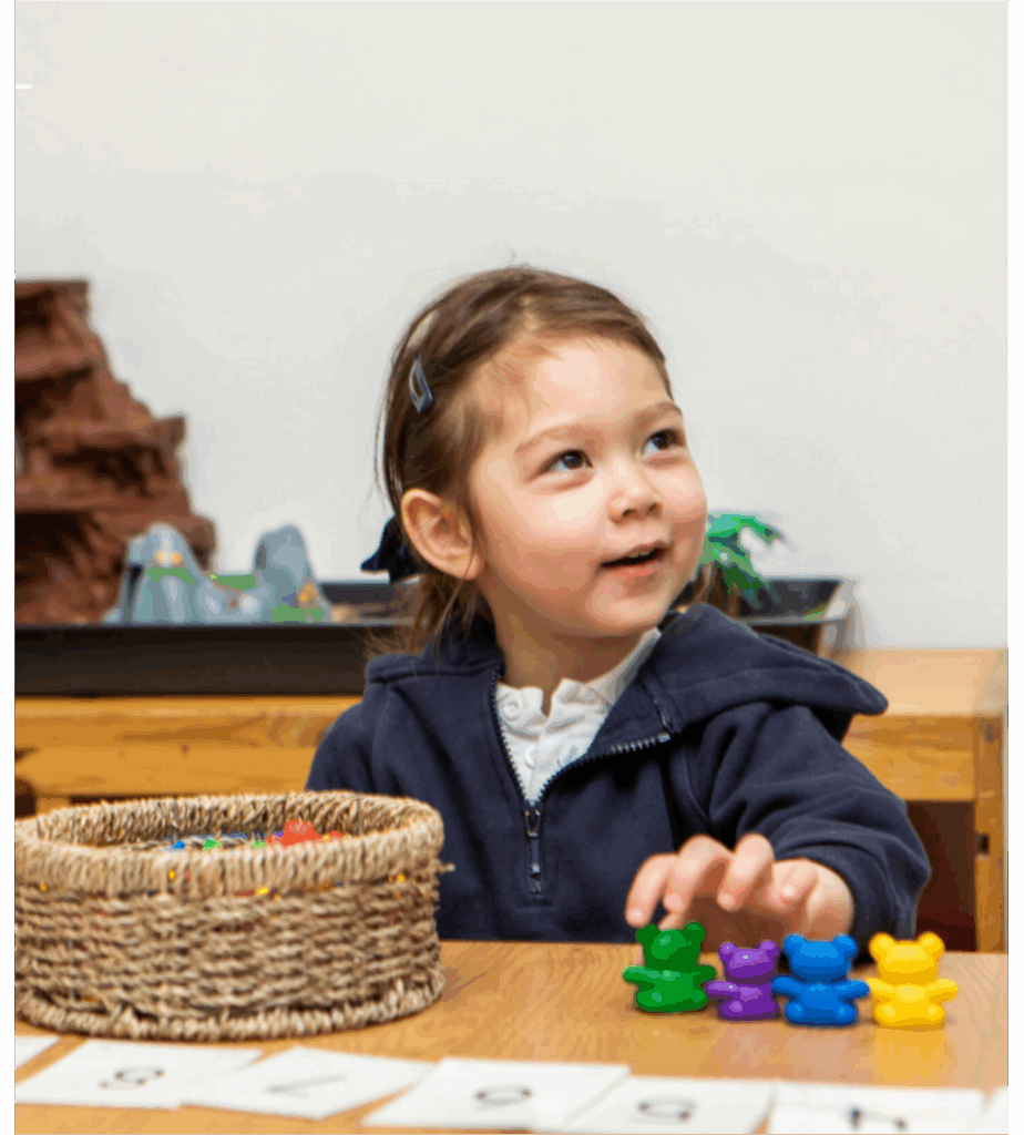 ANIMAL SHOW - GRADE 3