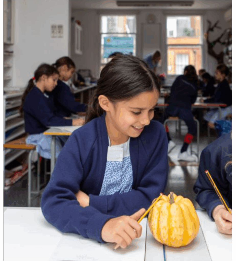 ESSAY WRITING COMPETITION